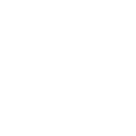 Uaw 249 Footer Logo